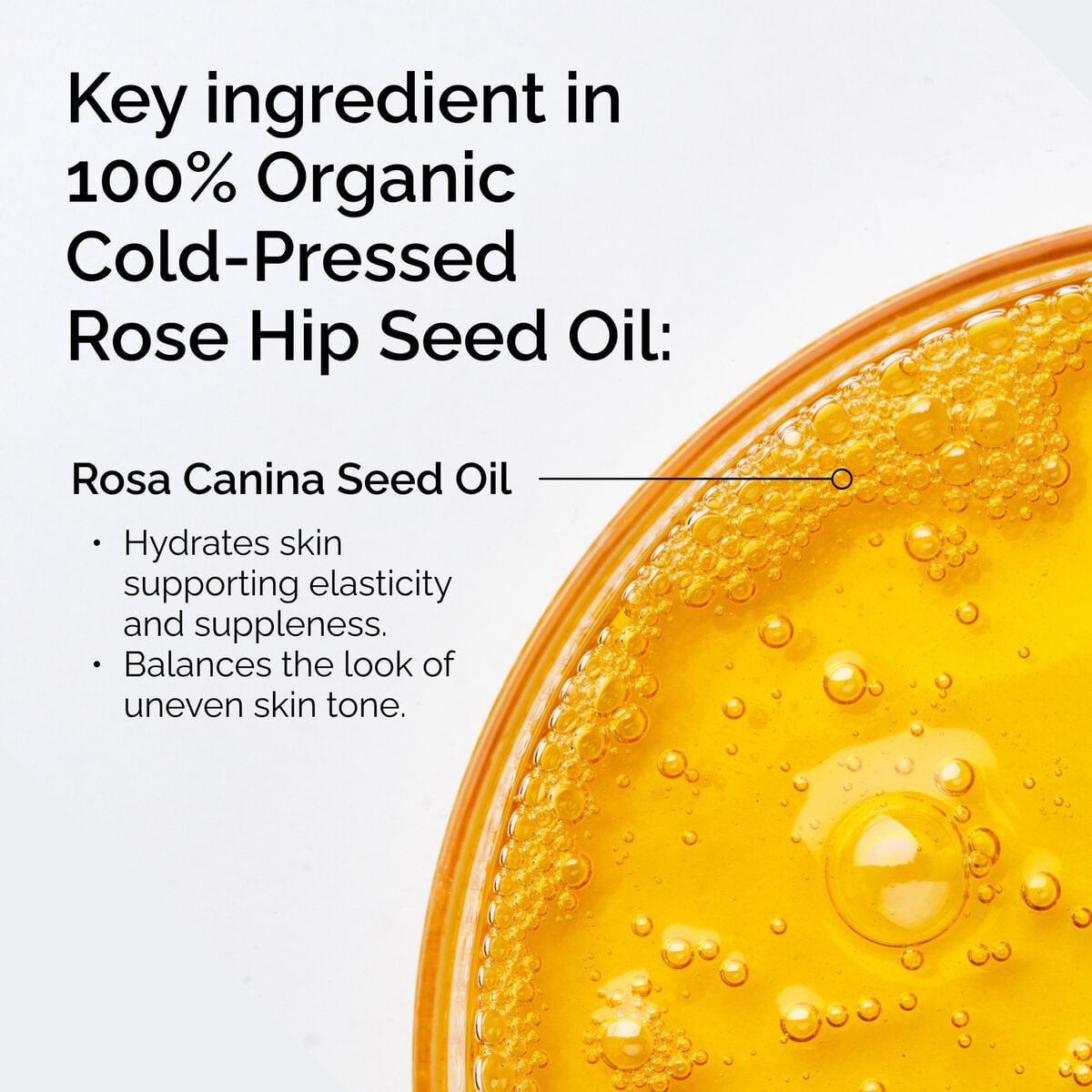 100-organic-cold-pressed-rose-hip-seed-oil-z6 FY25-D41247-ORD-Web-PDP-100-Rose-Hip-Oil-1x1-EN-2.jpg