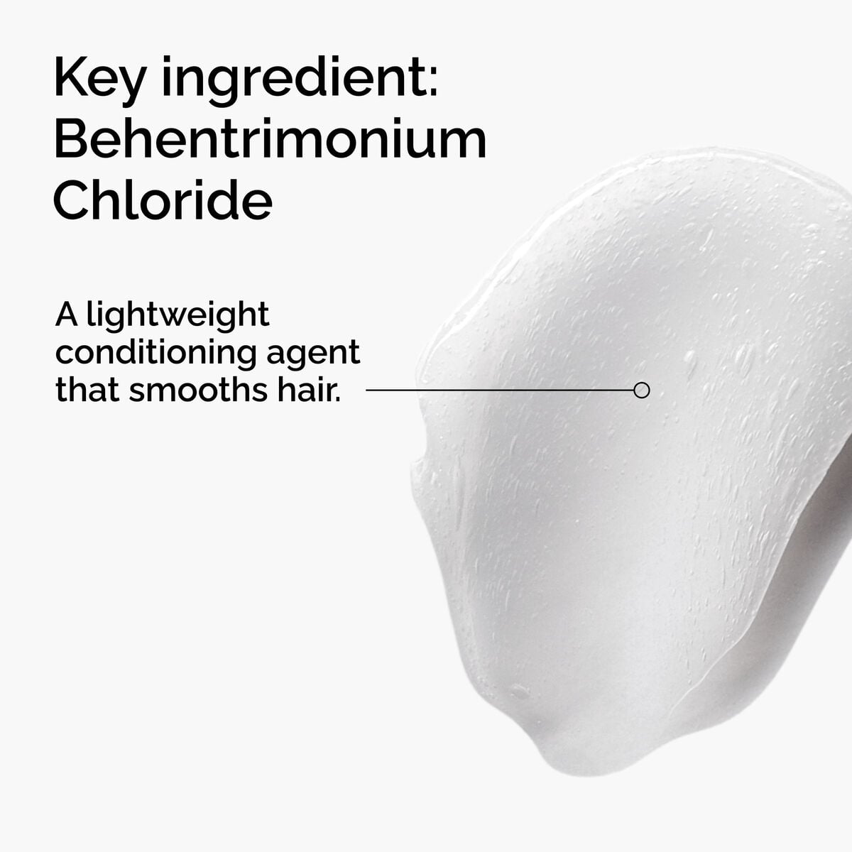 behentrimonium-chloride-2-conditioner-b2 FY25-D41247-ORD-Web-PDP-BTC-1x1-EN-2a.jpg