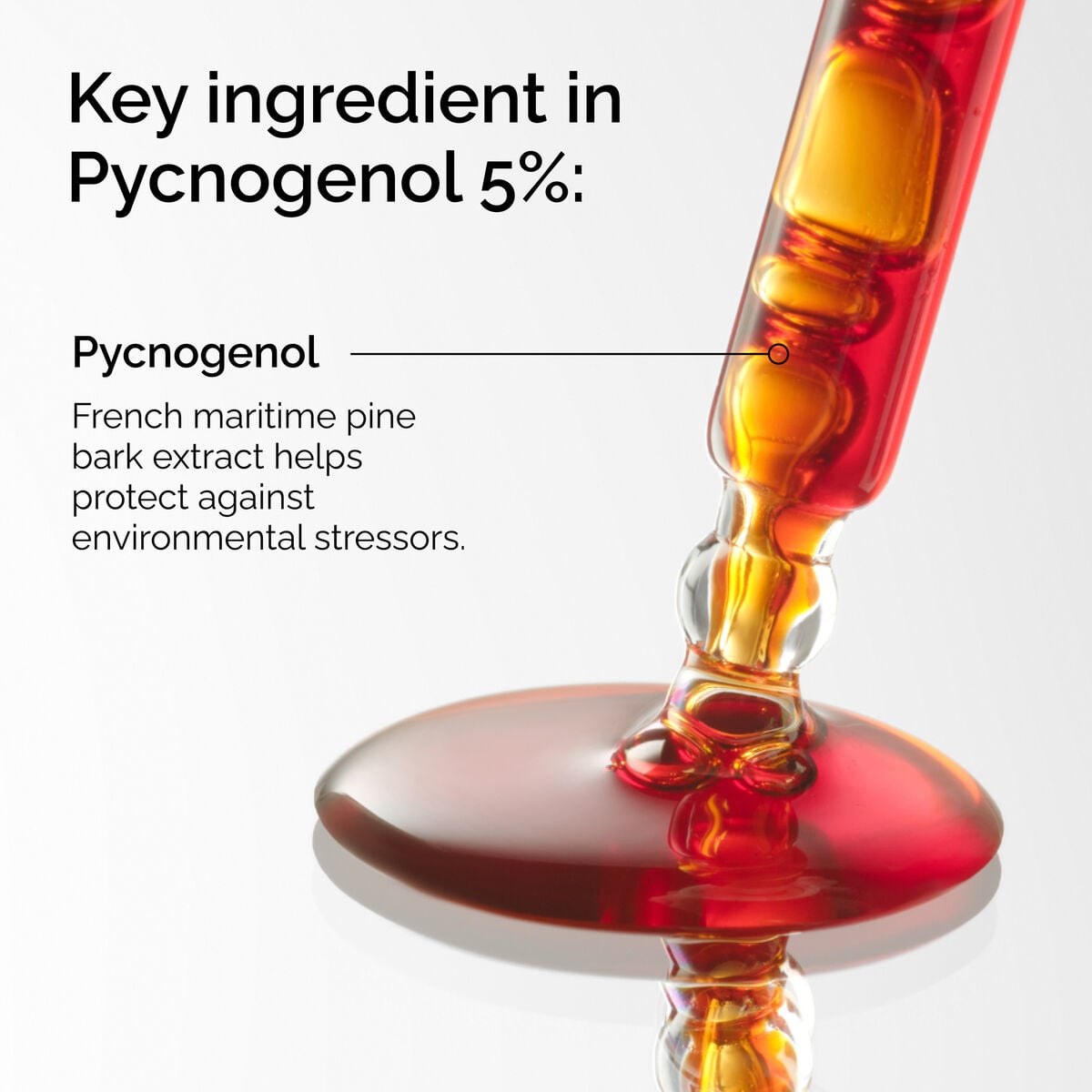 pycnogenol-5-f1 FY25-D41247-ORD-Web-PDP-Pyc-5pct-1x1-EN-2a.jpg