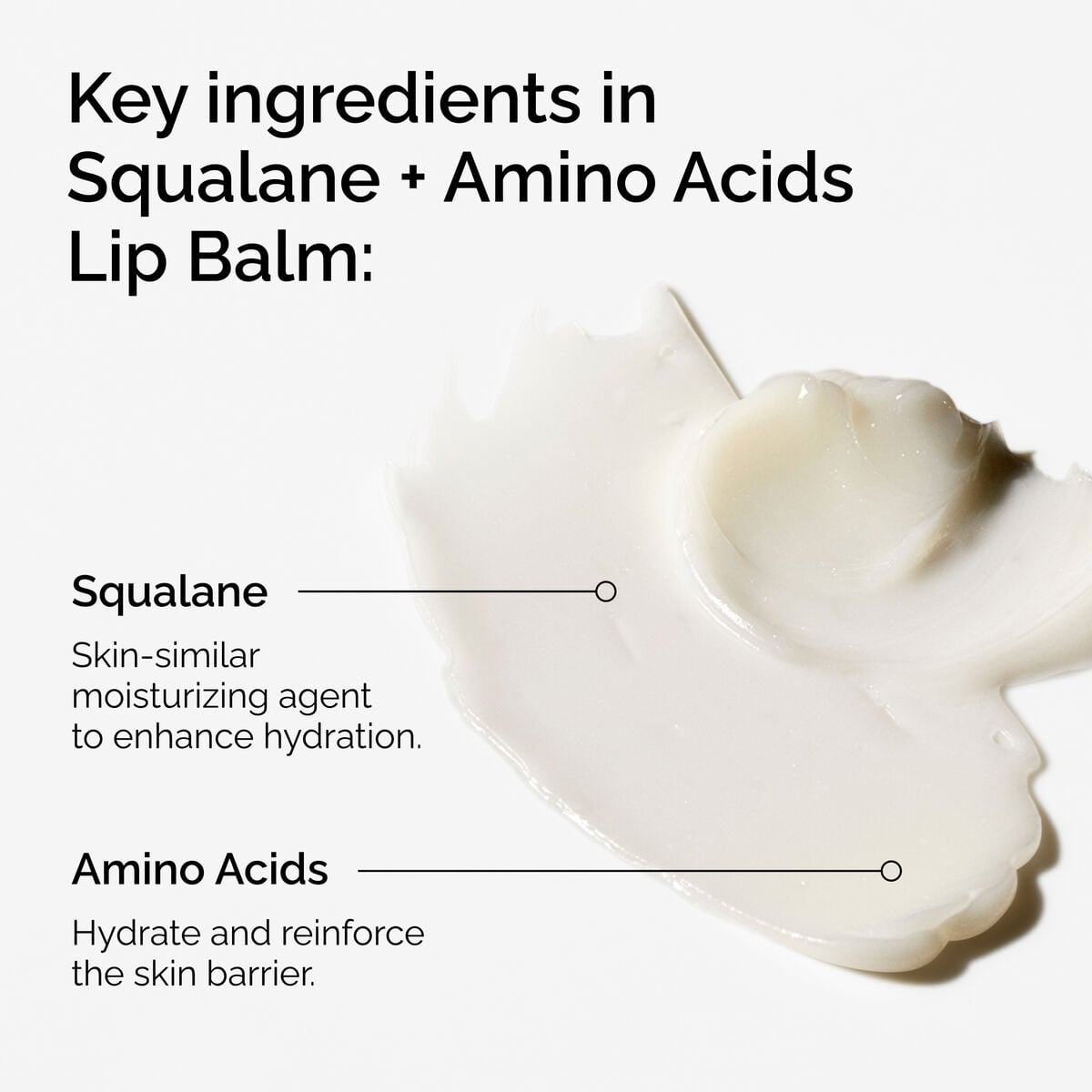 squalane-amino-acids-lip-balm-d2 FY25-D41247-ORD-Web-PDP-Sql-Amino-Lip-1x1-EN-2a.jpg