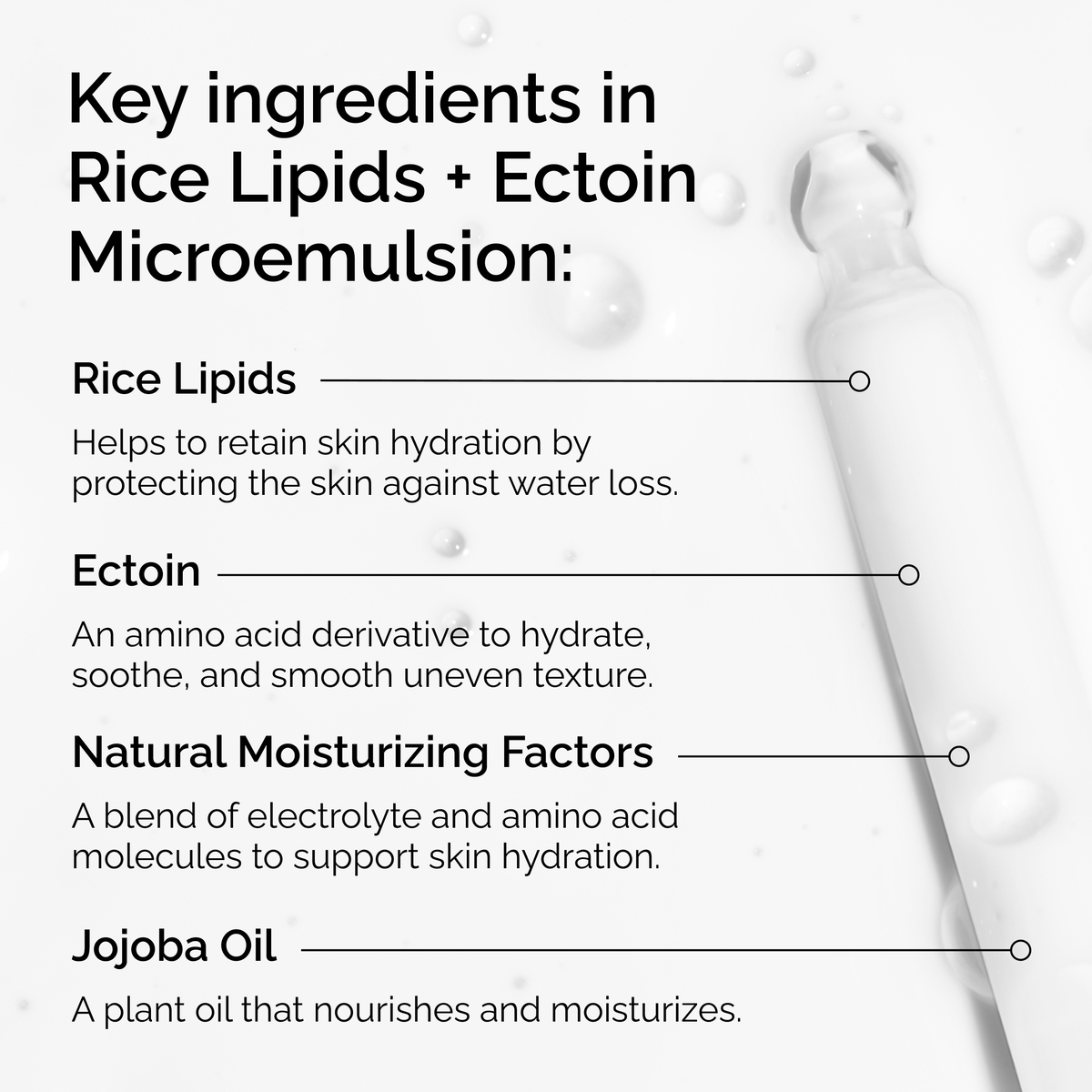 rice-lipids-ectoin-microemulsion-i0 ord-rice-lipids-ectoin-microemulsion-key-ingredients.png