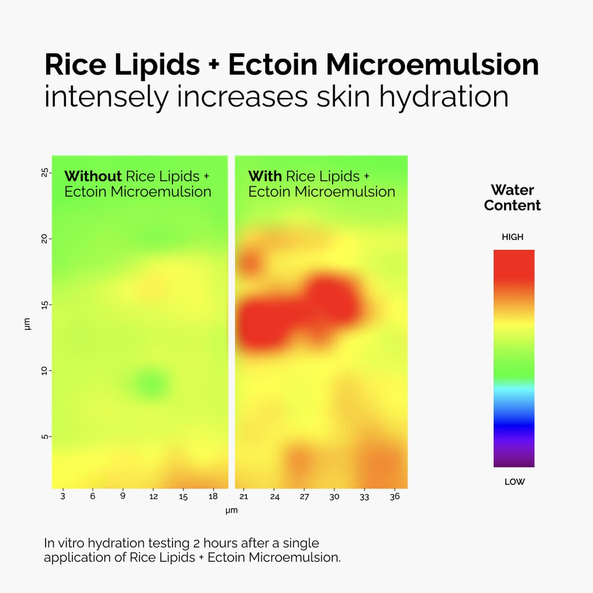 rice-lipids-ectoin-microemulsion-i0 ord-rice-lipids-ectoin-microemulsion-thermal-before-after.jpg
